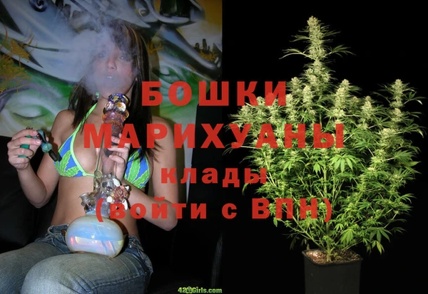 mdpv Вяземский