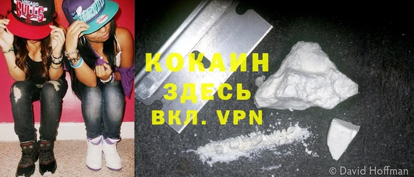 apvp Горняк