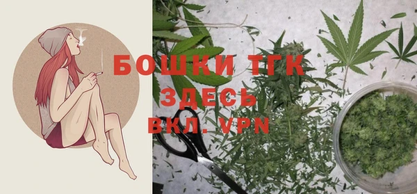 spice Сосновка