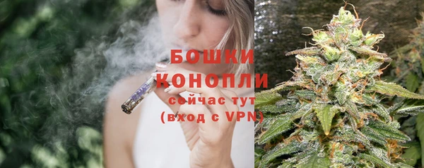 ALPHA PVP Горнозаводск