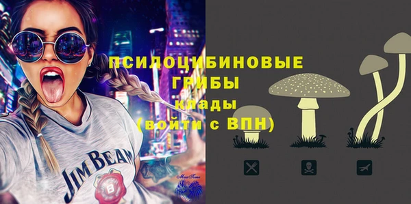 apvp Горняк