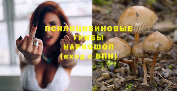 дмт Вязьма