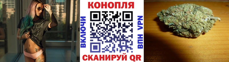 Бошки марихуана семена Данилов